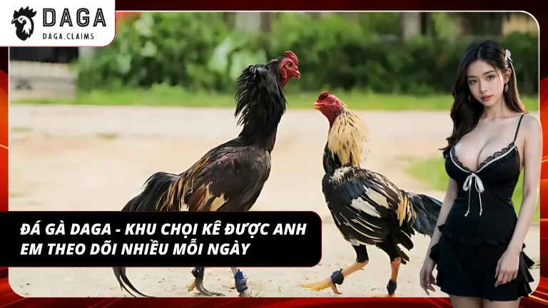 Lượng trận liên tục giúp duy trì sức hút với người theo dõi