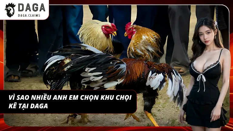 Trải nghiệm ổn định giúp người chơi dễ theo dõi và bắt kèo