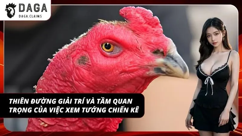 Toàn cảnh đấu trường trực tuyến sôi động và kịch tính nhất hiện nay