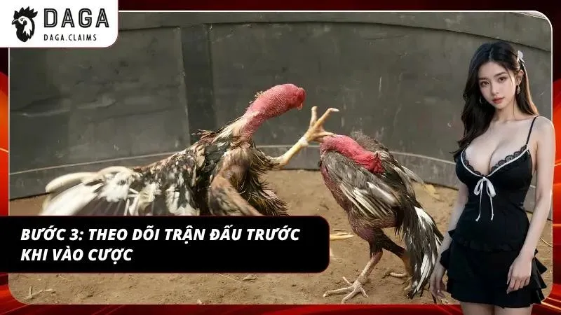 Người tham gia theo dõi tỷ lệ cược trước trận đấu