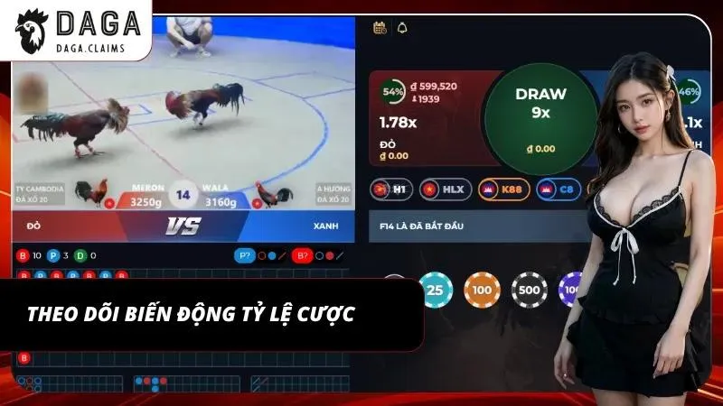 Bảng odds cập nhật theo thời gian thực