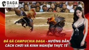 Đá Gà Campuchia Daga