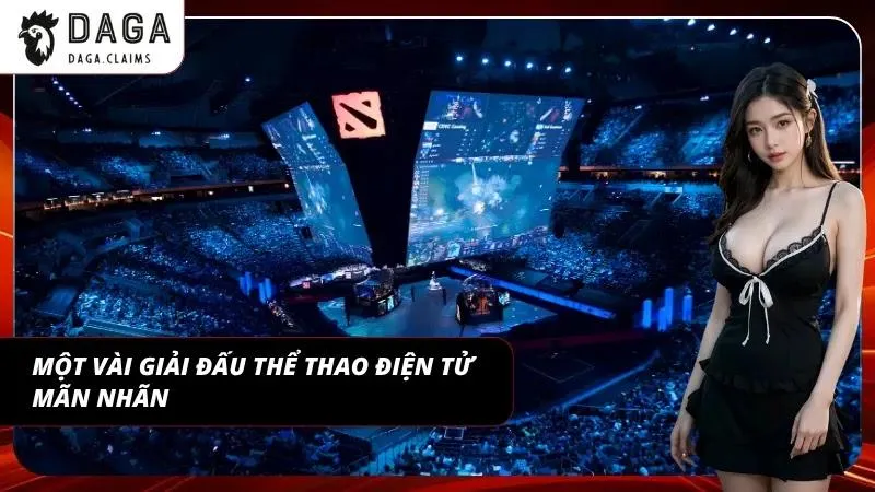 Các giải đấu esports không nên bỏ lỡ