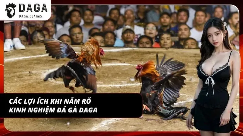 Ưu điểm khi người tham gia áp dụng các kinh nghiệm