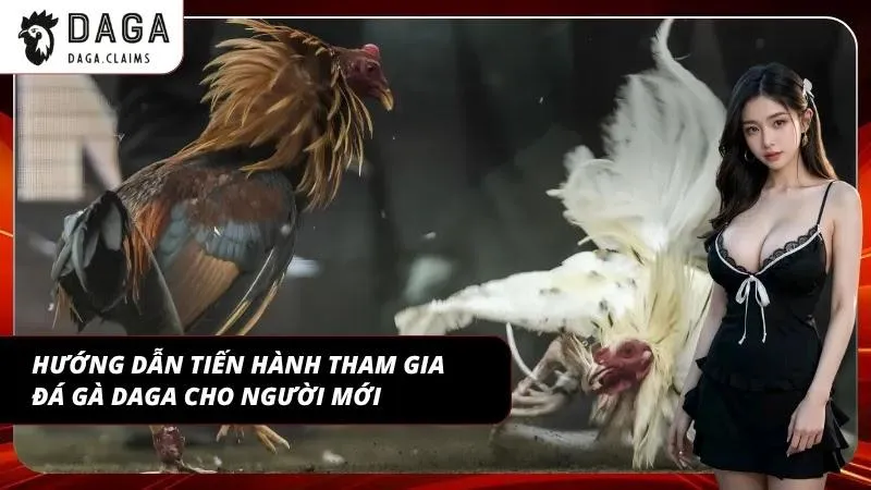 Kinh nghiệm đá gà DAGA với quy trình tham gia