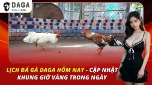 Lịch Đá Gà Daga Hôm Nay